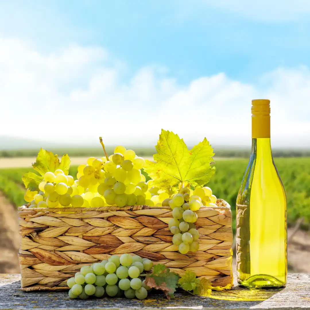 white wine